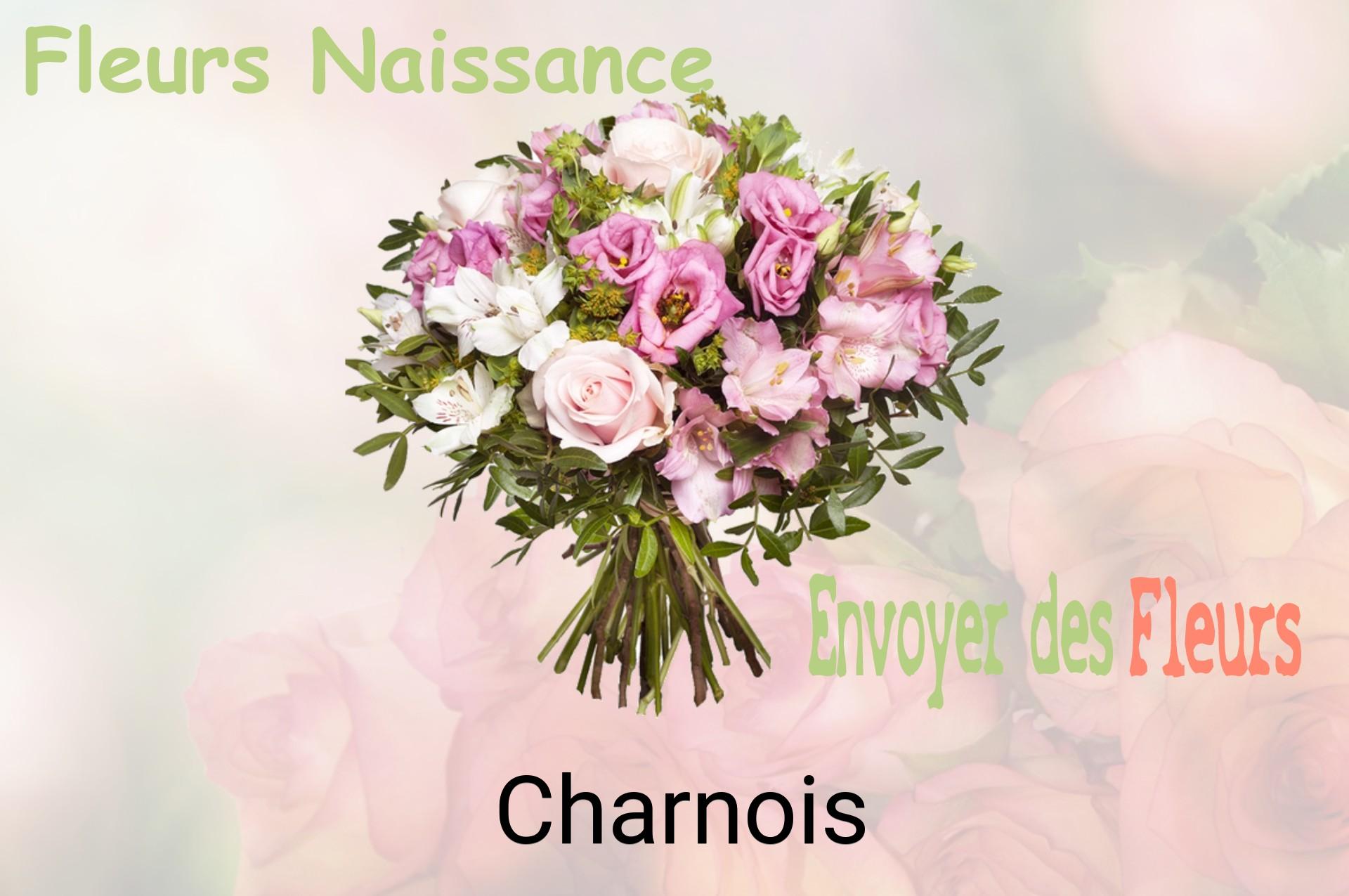 Bouquet de fleurs de naissance livré à Charnois